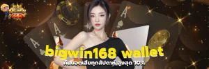 bigwin168 wallet
